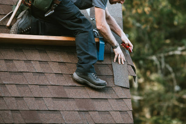 Best Roof Gutter Cleaning  in Jessup, PA